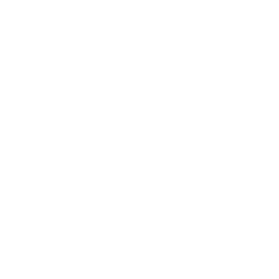 Users